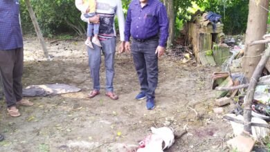 Photo of तेंदुए ने कुत्ते को बनाया आहार