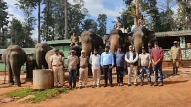 Photo of कर्नाटक के नागरहोल नेशनल पार्क से पीलीभीत लाये जाएंगे 5 हाथी, टाइगर रिजर्व की टीम के किये पसंद