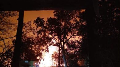 Photo of जंगल में आग लगने से मचा हड़कंप, कर्मचारियों ने समय रहते पाया काबू