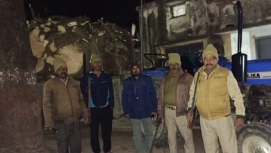 Photo of बिना परमिट काटे गए आम के पेड़, रेंजर ने कब्जे में ली लकड़ी