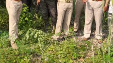 Photo of खेत में मिला तेंदुए का क्षत-विक्षत शव, पीएम को भेजा