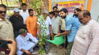 Photo of विश्व पर्यावरण दिवस : पीलीभीत में प्रेस क्लब पदाधिकारियों संग डीएम ने सूचना दफ्तर में रोपे पौधे