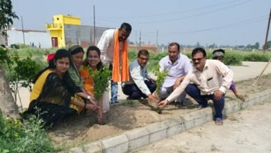 Photo of व्यापारी नेता ने 104 पेड़ लगाकर मनाया गया विश्व पर्यावरण दिवस