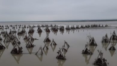 Photo of नहरोसा के पास कटान कर रही शारदा, तेज हुईं दिलों की धड़कनें