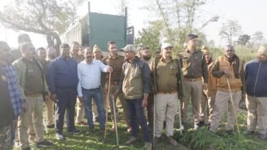 Photo of रामपुर में चल रहे मशकूर अली खान मेमोरियल टूर्नामेंट में पूरनपुर ने बहराइच को हराकर ट्राफी पर किया कब्जा