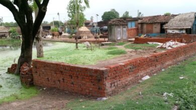 Photo of तालाब की जमीन पर कर लिया अबैध कब्जा