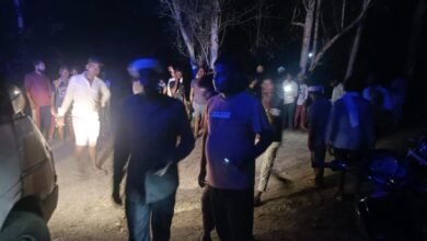 Photo of नेपाली हाथियों ने तीन लोगों को रौंदा, एक की हुई मृत्यु, दो गंभीर घायल